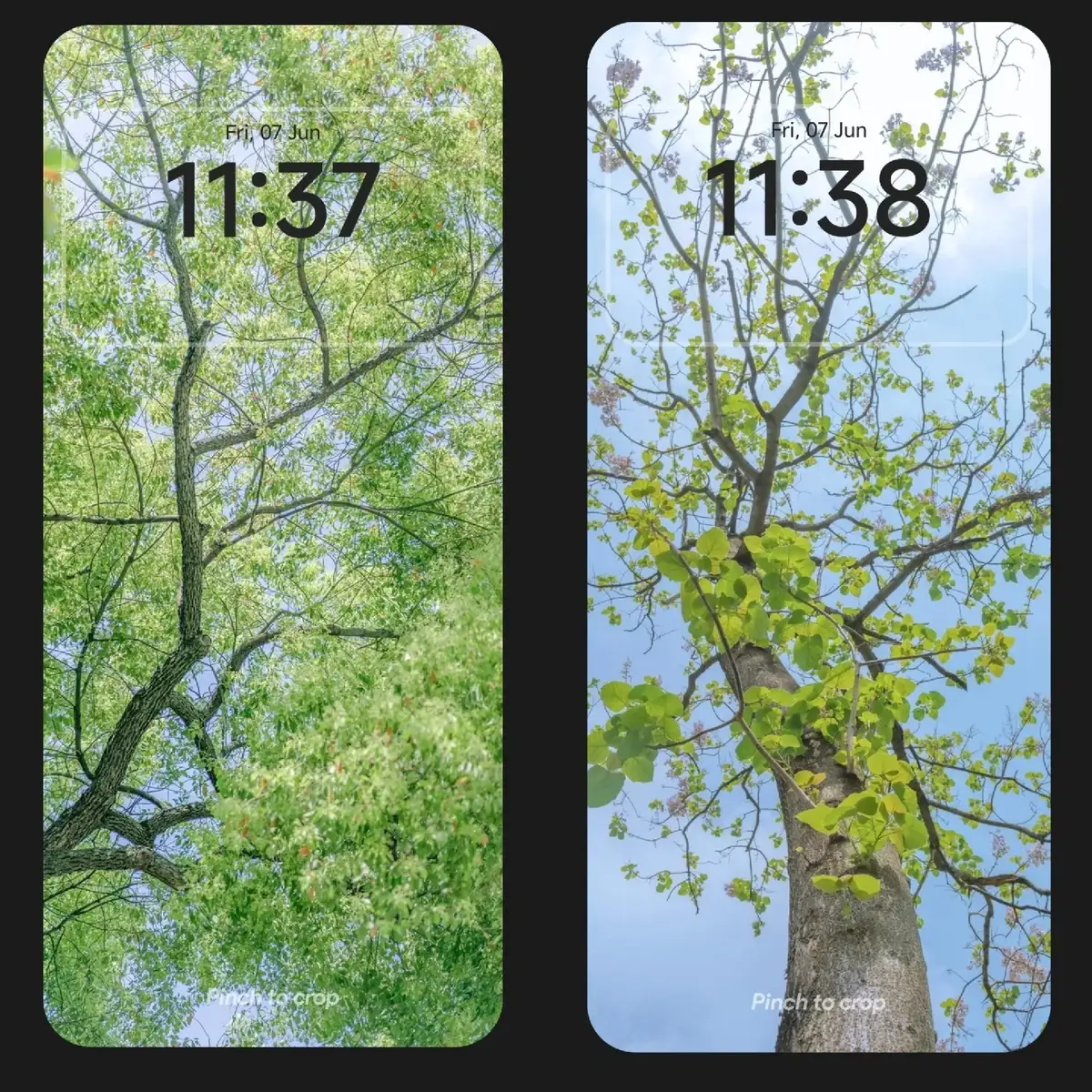 #hinhnen #wallpaper #foryou #vairal 