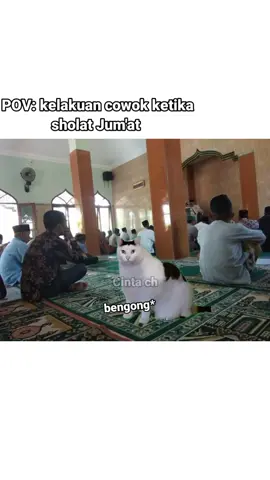 Kelakuan cowo nih #meme #memes#memestiktok #pov #povkucing #memes #fyp #memekucinglucu #memecut #catlover #catsoftiktok #catlover #fypシ゚viral