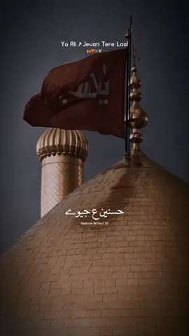 Ya Ali ع Jevn tery Laal ❤🏴 #nadeemwrites110 #shia #trending #noha #qasida #status #foryoupage #fyp #viralvideo 