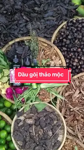 #daugoiboket #daugoithaoduoc #kichmoctoc #giamrungtoc 