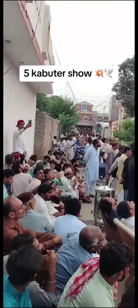 #mithulali#haiderabbasi505 #kabutarbazi ##banigalashok🕊 #banigalashok🕊 