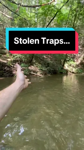 Replying to @Hunter Barnett871 #thief #stolen #caughtoncamera #trailcam 