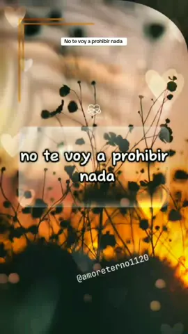 no te voy a prohibir nada #CapCut #novios #parejas #romance #frases #frasesdeamor #amoreterno1120 #longervideos 