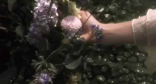 #قِـبْطيِ #مصر🇪🇬 #دعم #فيديو #اغاني #ألا_حبذا #نورا_رحال#مصر🇪🇬 #دعم #فيديو #اغاني #ألا_حبذا #نورا_رحال#مصر🇪🇬 #دعم #فيديو #اغاني #ألا_حبذا #نورا_رحال#مصر🇪🇬 #دعم #فيديو #اغاني #ألا_حبذا #نورا_رحال#مصر🇪🇬 #دعم #فيديو #اغاني #ألا_حبذا #نورا_رحال