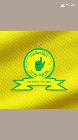 #mamelodisundowns  #sundowns  #mamelodi 