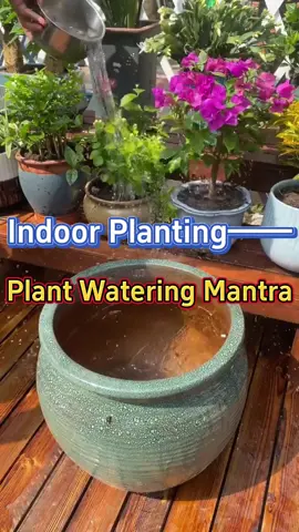 Watering tips for your indoor plants and flowers #homegarden #indoorgarden #indoorplants #houseplants #garden #plants #flowers #wateringplants 