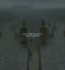 Pt 2 again ’cause the last one got muted:(  #foryou #foryoupage #hp #harrypotter #foryourpage #fyp 