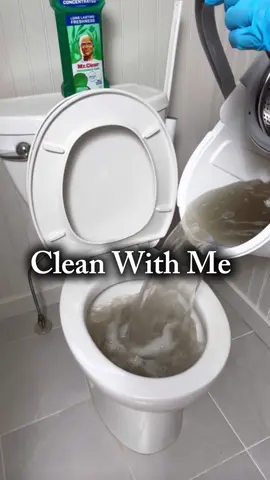 #Ad @Mr.Clean for the win! This new multi-surface cleaner helped me power through my deep clean and made my house smell amazing! Be sure to pick up Mr. Clean’s 2X Concentrated Liquid Formula at your local retailer today! #MrCleanPartner