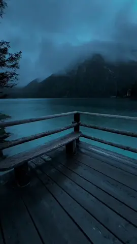فقط تأمل الطبيعة #explore #night #moon #virall #river #foru #nature #هدوء #نهر #طبيعة #اكسبلورر #الليل 