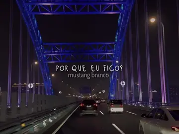 white Mustang #fypツ #tradução #lyrics #lanadelrey #whitemustang 