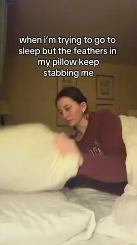 and then i sit there all night picking the feathers out🥲🥲🥲🥲🥲🥲🥲🥲🥲🥲🥲🥲🥲😈😈😈😈😈😈😈😈 #foryoupage #relatable #funny #fyp #hashtag ‼️