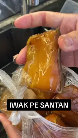 IWAK PE SANTEN