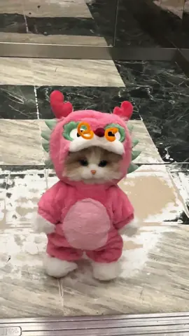 Encountered a pink dragon kitten in the elevator #cat #cutepet  #dragon #kitty #cute #viral #foryou 