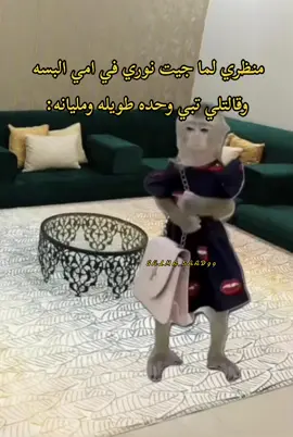 #سلمى_الدرسي💛 #الشعب_الصيني_ماله_حل😂😂 #اكسبلورexplore #هشتاق #درنه_بنغازي_البيضاء_طبرق_ليبيا #تصميم_فيديوهات🎶🎤🎬تصميمي🔥 #ليبيا🇱🇾 