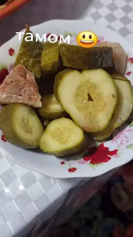 ЧАЙХАНА башня тел 0552366697 ошг кэттик