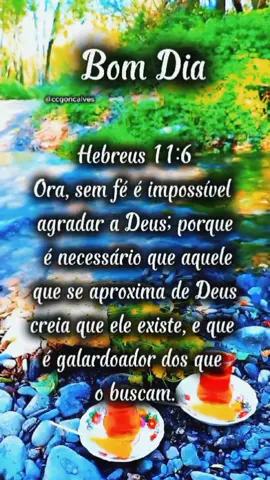 Bom dia abençoado  #bomdia #mensagemdodia #versiculosbiblicos #statusvideo #tiktok #viral 