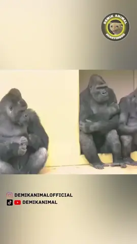 SI BAPAK ISENG #fyp #foryou #foryoupage #foryourpage #dubbinglucu #dubbing #dubbinghewan #dubbingbinatang #dubbingindonesia #demikanimal #demikanimalofficial #dubbingkucing #kucing #kucinglucu