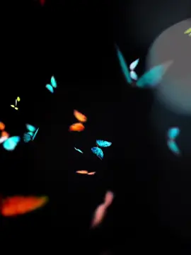 В предудущем видео показала как испоьзовать их в своих видео. 💋 Если будет хороший актив покажу как скачать видео с тт без метки. #бабочки #эффектбабочек #эффект #бабочек #капкат #cupcut #butterfly 