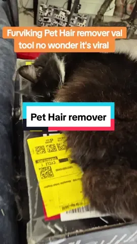 This furviking viral pet hair remover was a game changer for me #cats #dogs #pethairremover #tiktokmademebuyit #fyp 