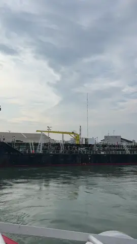 #viral #xzybca #foryou #pelaut #fyp 