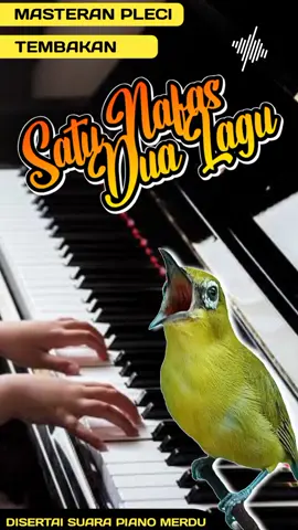 MASTERAN PLECI TEMBAKAN VARIASI SATU NAFAS 2 LAGU,  ====================== pleci tembakan variasi,  pleci nembak variasi adalah dimana pleci melantunkan materi lagu isianya lebih dari satu lagu,  karena dalam penilainan lomba pleci ada kolom irama lagu,  sedangkan irama lagu yg baik adalah irama lagu yg bervariasi,  untuk itu kami markas tjm berbagi masteran pleci tembakan variasi satu nafas dua lagu,  selamat mencoba semoga bermanfaat, jangan lupa dukung kami dengan cara like, komen, follow dan share  ====================== tag : #masteranpleci #masteranplecigacor #masteranplecingewitwit #masteranplecinembak #masteranpleciterbaik #masteranplecinembakvariasi #masteranpleciterbaru #masteranplecitembakan #masteranplecinishida #masteranplecinembaklovebird #masteranplecinembakspeed #masteranplecinembakbrem #masteranplecinembakvariasi #masteranplecinembakzipper #masteranplecinembakkenari #masteranplecimewah  #plecit #pleci #plecimania #plecimaniaindonesia  #plecigacor #plecijuara #masteranplecijos #masteranplecijuara  #jendoltjm #markastjm  #viral #viralvideo #viraltiktok #viralid #viralsong  #trending #trendingvideo #trendingtiktok #trendingsong  #fyp #fypシ゚viral #fypage #fyppppppppppppppppppppppp #fypdong #fypplis #fyptiktok #fypp #fypburung #fyppleci #fypplecit #foryou #foryoupage #foryoupageofficiall  #following #follower #pengikut #sorotan 