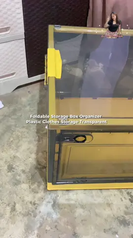 Replying to @𝗣𝗶𝗻𝗴🎀 Foldable Storage Box Organizer transparent.