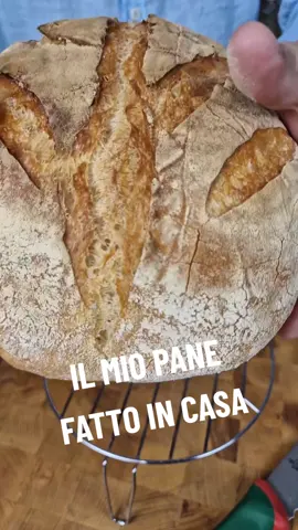 Fare il Pane in Casa è Poesia... Ingredienti👇 300 gFarina (tipo 0 ) 200 gFarina 00 (w 270) 340 mlAcqua 2 gLievito di birra secco 10 gSale 1 cucchiaino di miele   (oppure malto o zucchero ) 1 impasto autolisi 180 ml acqua riposo per 30 min 2 impasto 160 ml acqua 3 pieghe ogni 15 minuti ogni piega va coperto l'impasto 1° lievitazione 1 ora TA 2° lievitazione 24 ore frigo 3° lievitazione 1 ora fuori frigo TA 4° formatura pane 5° lievitazione in cesto 2 ore Cottura in pentola 230 gradi per 50 55 minuti oppure 240 gradi per 45 minuti Cottura senza pentola 220 gradi per 50 minuti con acqua sulla platea #pane #ricetta #Recipe  #panefattoincasa #panificio #food #mollica #forno #crunch #bread #breadtok 