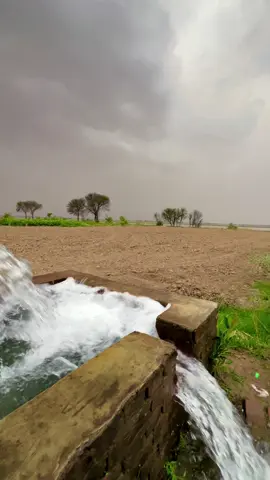 S3 Episode 887 | Gaon🥰🌸🌿#Malikaneesraxa_1 #پنڈ_جیہ_کھوکھراں_☘️🌿👳‍♂️ #foryoupage #trending #viral #trend #gaon #viralvideo #jutt #pendu #villagelife #punjab #village #pind #pindawale #foryou 