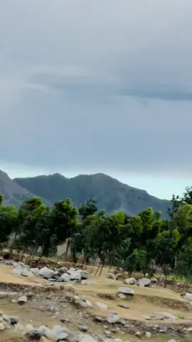 With @Zeeshan Habib ♥️