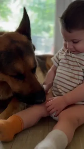 babies❣️ I want to create Samuel's room and garden space. If you want to collaborate, send me an interesting offer by email 📧samuelandgermanshepherds@gmail.com #samuel #baby #babyanddog #dogandbaby #TrueLove #happiness #soulmate #samuelandrex #samuelandgsd #dog #doglove 