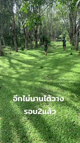 แผลหายดี จัดต่อเลยลูกวัว 3ปีกว่า #โคขาวงามยอดพิฆาตอสูร #ลูกเบอร์สะเดา #วัวชนแดนใต้❤️🐂💯 #วัวชนสงขลา🐂 