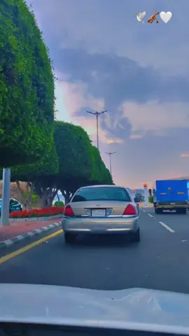 وهوجس كان ماحوالي جماعه ..🕊️🤍#🕊️🤍 #foryou #fypシ゚ #fyp #fypシ゚viral #capcut #comedia #اكسبلورexplore #foryoupage #viral #❤️❤️❤️❤️❤️❤️❤️❤️❤️❤️❤️❤️❤️❤️❤️ #😂😂😂😂😂😂😂😂😂😂😂😂😂😂😂 