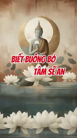 Biết buông bỏ, tâm sẽ an. #phatphapnhiemmau #adidaphat #phatgiao #loiphatday #giacngo #phatphap #buongbo 