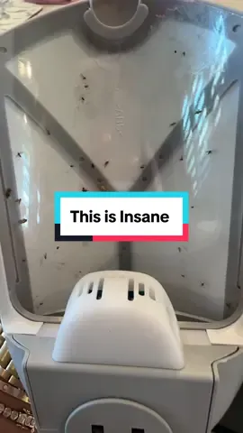 Yall i had seen this on tv comercials so we finally gave up and bought it. And it works 😶 im speechless the brand is @Zevo 