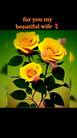 #Love #lovemessage #fouryou #fouryoupage #fouryourpage #vairal #beatifulqeen256❤️❤️ #goviral #trending #😘😘😘 #fpy 