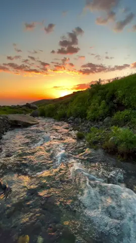 @بدون موسيقى 🎧 🎵 