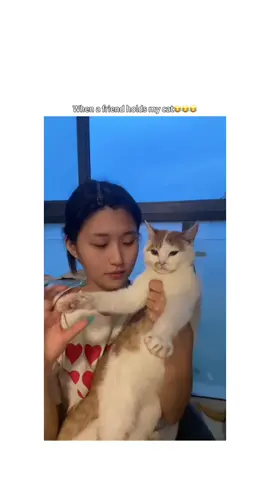 #cat #cutecatvideos #catsoftiktok #fyp #foryou #foryoupage 