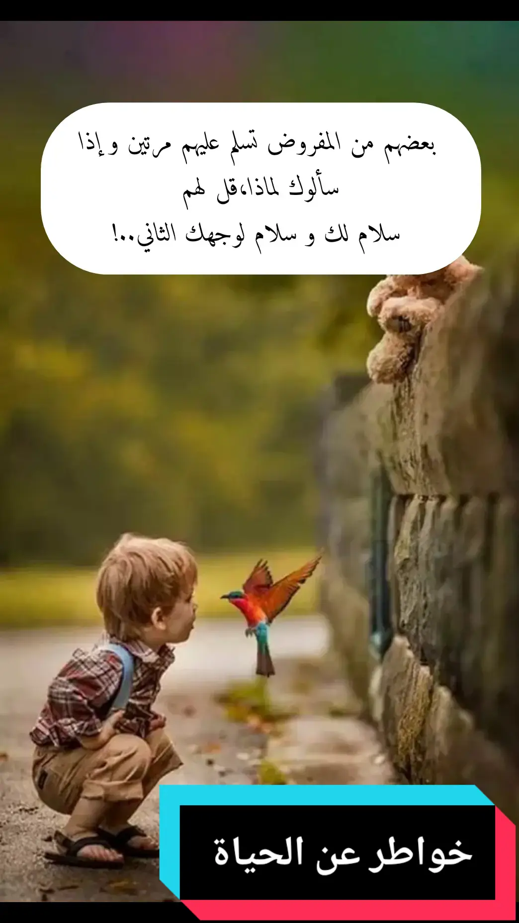 خواطر عن الحياة،  كلام عن الحياة  #خواطر_عن_الحياة #كلام_عن_الحياة #خواطر_للعقول_الراقية #كلام_من_ذهب @zaki 