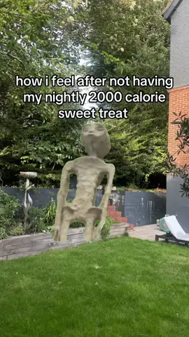 wake up feeling like i’ve withered away 😔 #foryou #relatable #xyzbca #CapCut #viral #sweetreat #food #Foodie 