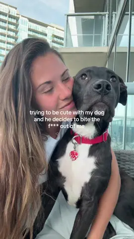 #dog #dogmom #atlanta #dogoftheday #parati 