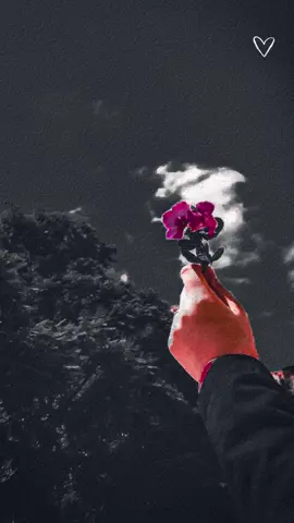 Humy tmsy pyar kitnaa ❤️👀 #fyb #viralvideo #trending #song #status #viral #couple #couplegoals #pleaseviral #aesthetic #foryoupage #foryou 