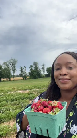 🍓 Strawberry picking 🍓 #strawberry 