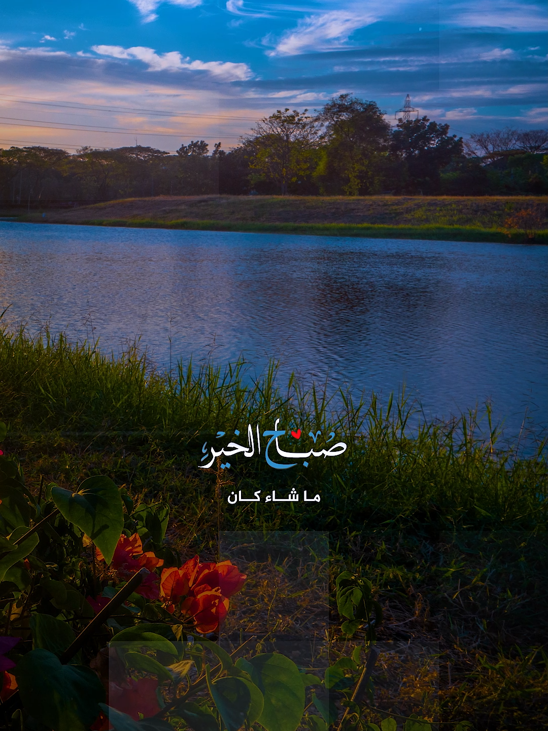 #صباحكم_أحلى_صباح #صباح_الخير #اذكار_الصباح #اكسبلور_تيك_توك #صباح