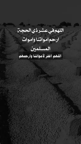 #اللهم_في_عشر_ذي_الحجة_ارحم_امواتنا_واموات_المسلمين##foryou #viral #tiktok 
