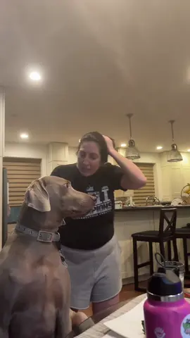 A nightly occurrence #dogs #dogsoftiktok #cutedog #doggo #cutedogsoftiktok #funnydogs #fyp #foryoupage #dinner #foodies #FoodTok 
