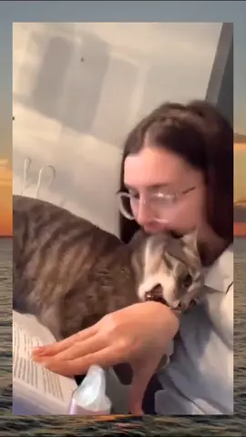 Girls vs Cats 😂😅 #cat #cute #catvideo #cutcat #funny #pet #funnyvideo #kitty #foryou  #keşfetbeniöneçıkar 