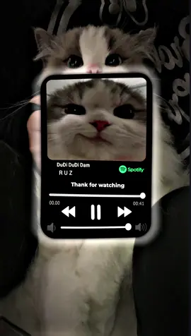 Phần 19 | DuDi DuDi Dam... #nhacvotri #nhacremix #speedsongs #music #nhachaymoingay #ruzmusic01 #fyp #xuhuong 