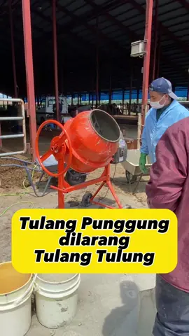 Di Jepang Jadi Kuli Bangunan. Peternakan Rasa Genba #kulijepang🇯🇵 #kensuseijapan🇮🇩🇯🇵 