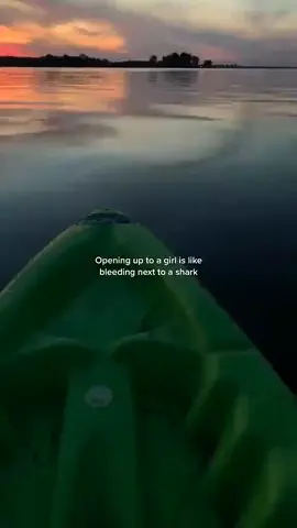 sound jj kane (1000)