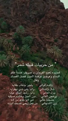 #الويبار #ابن_رشيد #عبده_سناعيس_الجبل #سنجاره_عبده_اكسبلورررر #كسبلوررر #ytph_tiktok #الاجفر #الهباس #حفرالباطن #عرعر #الزميل #الغفيله #صفران_السناعيس_شمر #عرضه_شمر #السيافا_سودان_الروس #الجربان_شيوخ_شمر #الرشيد #شعروقصايد #حايلندا_حايل #شعراء_وذواقين_الشعر_الشعبي #قصص_من_التاريخ👑 #حايلندا_حايل #حايل_بعد_حيي #الضياغم #فواز_الغسلان #الخرصه_سودان_الروس #سناعيس🇹🇷 #رفحاء_الشماليه #الضياغم #عنزهـ #عتيبه_روق_برقا_الهيلا #قحطاني #سبيعي #مطير_اهل_الثلاث_المعجزات #السرحان #الجوف_طبرجل_القريات #الرمالي #منصور_الرمالي 